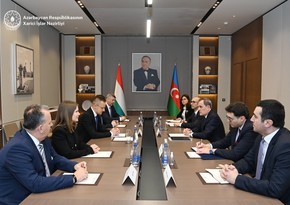 Azerbaijani FM informs his Hungarian counterpart about situation on Lachin Road