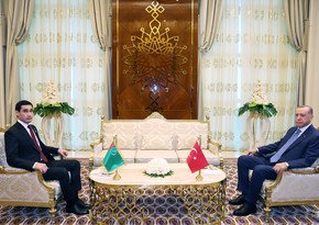 Presidents of Turkiye and Turkmenistan hold meeting