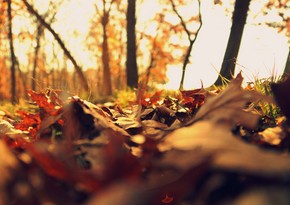 Astronomical autumn starts next week in Azerbaijan