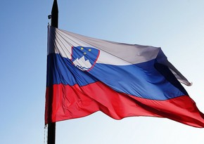 Sloveniya 2024-2025-ci illər üçün BMT Təhlükəsizlik Şurasına qeyri-daimi üzv seçilib