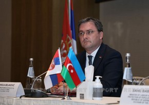 Azərbaycan və Serbiya viza rejiminin sadələşdirilməsini müzakirə edir 