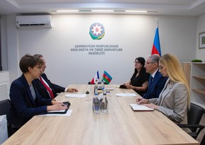 Мухтар Бабаев обсудил подготовку к COP29 с послом Чехии в Азербайджане