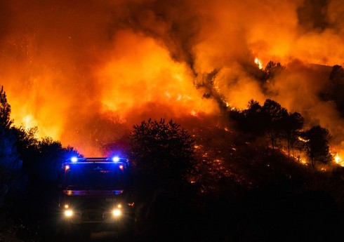Лесные пожары в Испании охватили более 20 тыс га