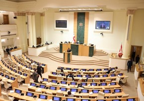 Парламент Грузии 26 ноября начнет процедуру вотума доверия правительству