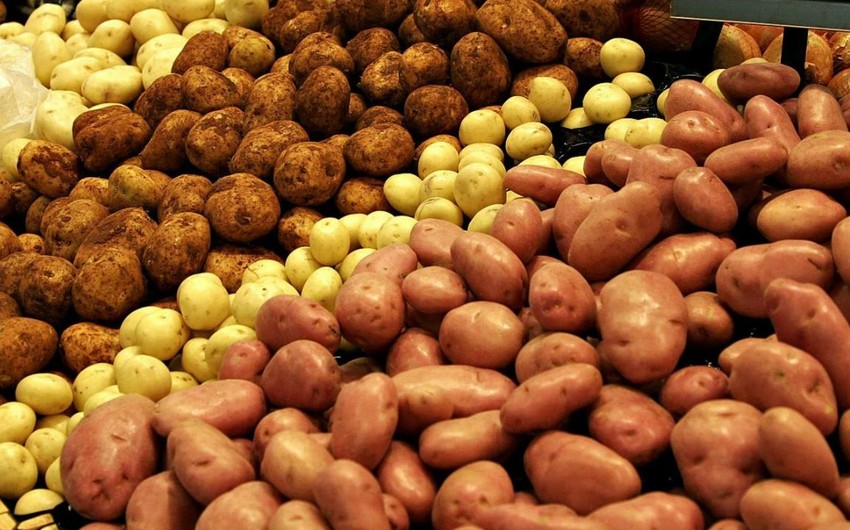 Азербайджан - второй по величине импортер картофеля из Украины