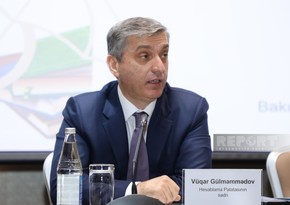 Vüqar Gülməmmədov: Bəzi qurumlar proqnozlaşdırma prosesinə formal yanaşır