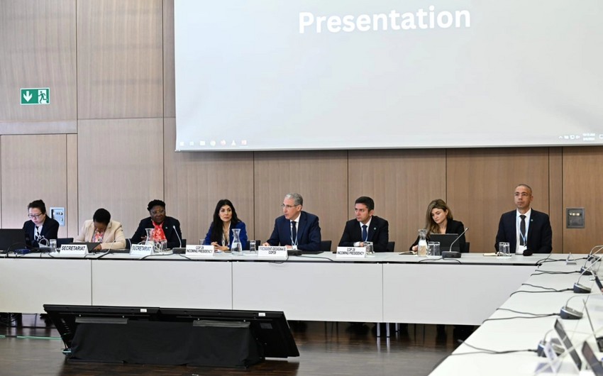 President of COP29 meets reps of Russia, Türkiye