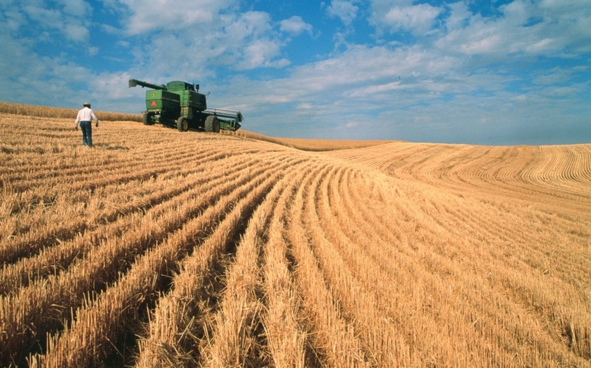 Украина готова заместить российские поставки зерна на рынке Турции
