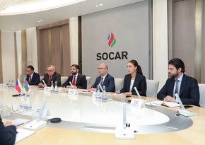 SOCAR və CEZ-in potensial əməkdaşlıq imkanları nəzərdən keçirilib