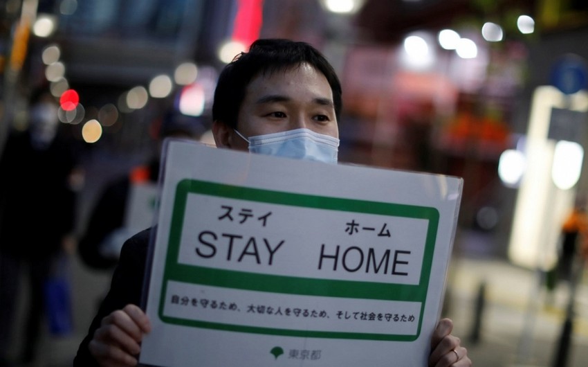 Yaponiyada ev itlərində koronavirus aşkarlanıb