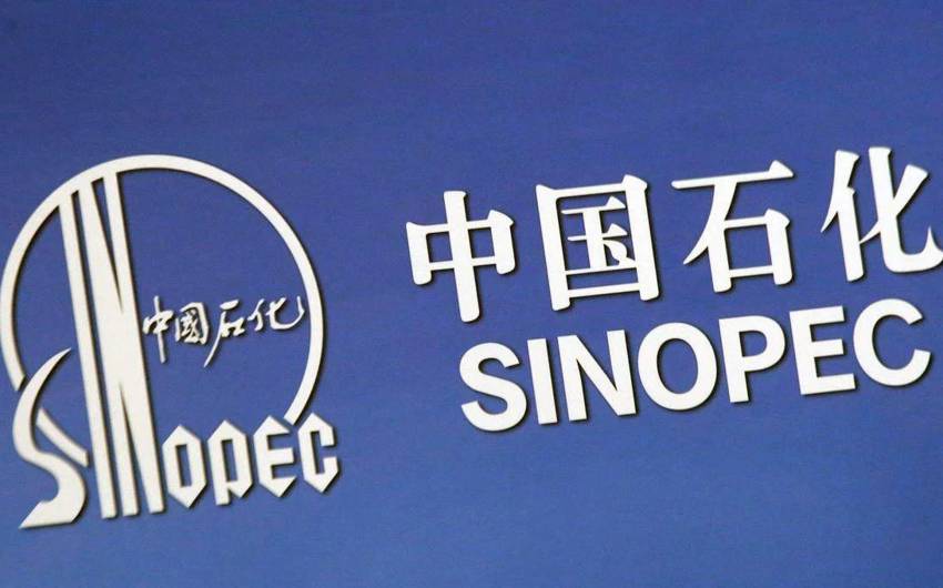 Sinopec discovers large shale gas field