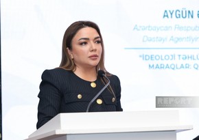 Aygün Əliyeva: Müstəqilliyin ilk illərində QHT-lərlə dövlət qurumlarının birgə fəaliyyətində ciddi problemlər var idi