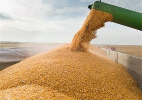 Azerbaijan's wheat imports from Kazakhstan up more than twofold