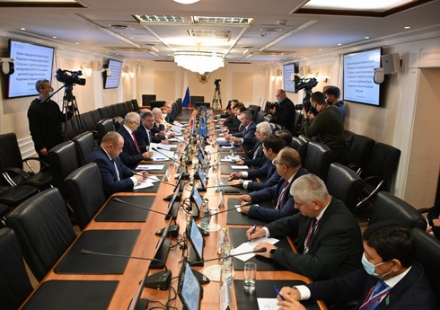 Международные наблюдатели провели встречу в верхней палате парламента РФ