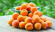 Azerbaijan’s apricot imports from Türkiye soar