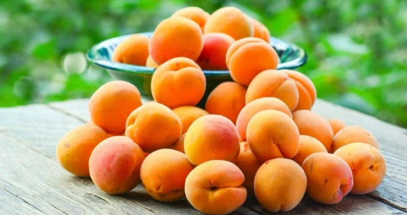 Azerbaijan’s apricot imports from Türkiye soar