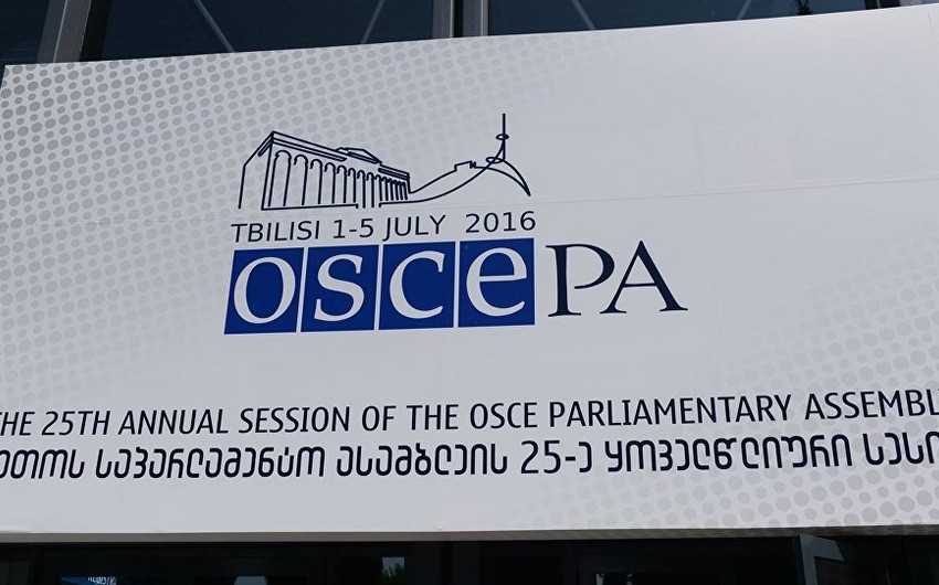 OSCE Parliamentary Assembly adopts the draft of Tbilisi Declaration