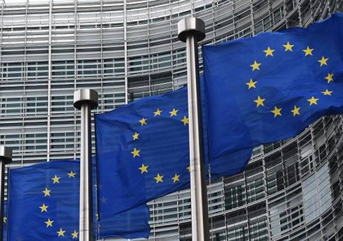 Евросоюз выделил 1 млрд евро на защиту лесов