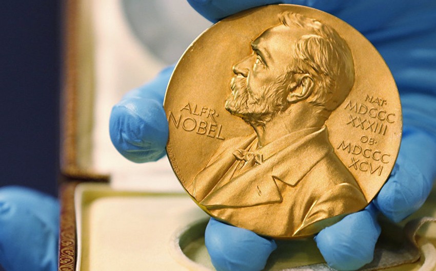 Nobel Prize in literature will not be awarded this year