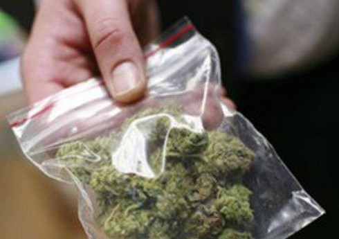 В Германии вступил в силу закон о легализации марихуаны