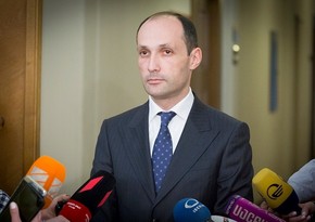 Minister: Georgia to ask for help from Azerbaijan for grain reaping