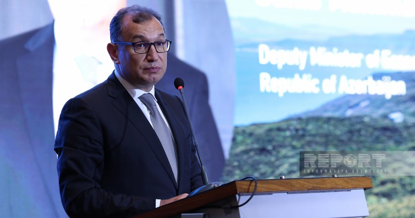 Deputy minister: Azerbaijan introduced incentives to attract investment