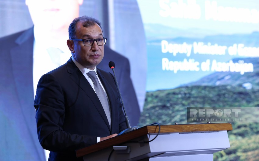 Deputy minister: Azerbaijan introduced incentives to attract investment