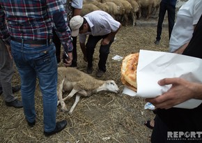 Kimlər qurban kəsməlidir? - QURBAN HAZIRLIQLARI