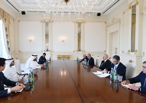 President Ilham Aliyev receives UAE Minister of Investment