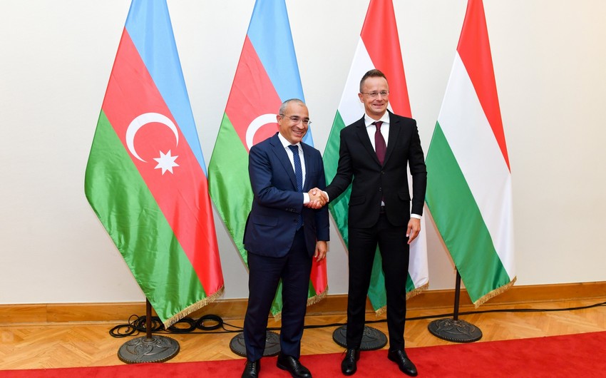 Azerbaijan, Hungary discuss green energy projects