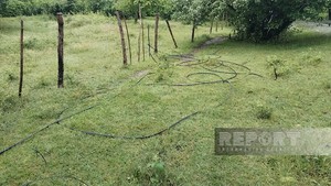 Oğuzda irigövdəli ağacın aşması nəticəsində 15 kəndin interneti kəsilib