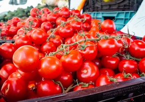 Доходы Азербайджана от экспорта помидоров снизились на 8%
