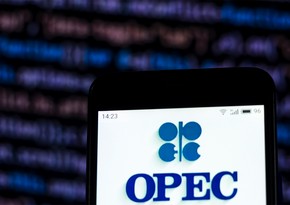 OPEC+ 2024-cü il üçün planlarını açıqlayıb