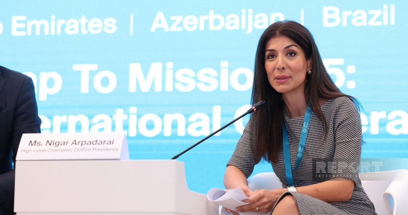 Nigar Arpadarai: Azərbaycanın məqsədi dialoq tərəfləri arasında körpü olmaqdır