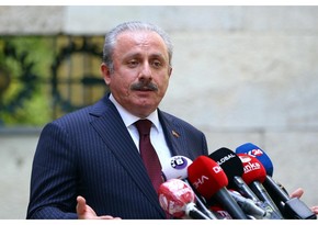 Спикер парламента Турции посетит Россию