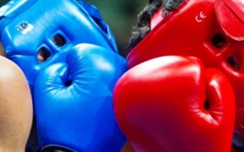 Azerbaijani boxer: My father prepared me for fights so I won