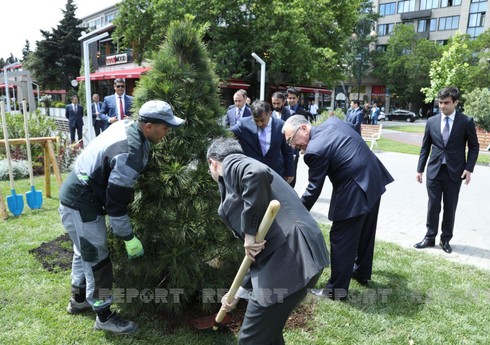 В Баку посадили деревья в честь 30-летия дипотношений между Азербайджаном и Пакистаном