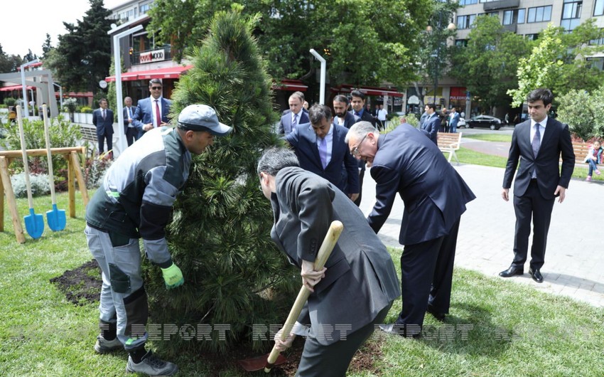 Trees planted in Baku in honor of 30th anniversary of Azerbaijan-Pakistan relations 