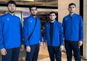 Азербайджанские таэквондисты выступят на открытом чемпионате Австрии