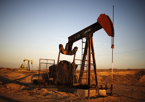 Запасы нефти в США выросли на 1,3%