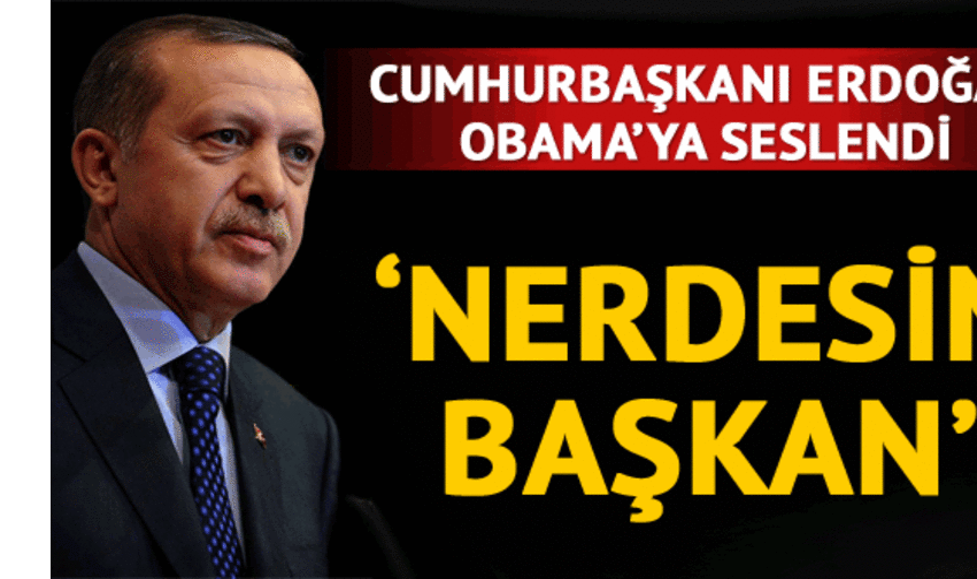 Эрдоган возмущен молчанием Обамы в связи с убийством мусульман