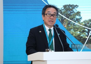 Deputy minister: Japan supports Azerbaijan's Baku Global Climate Transparency Platform