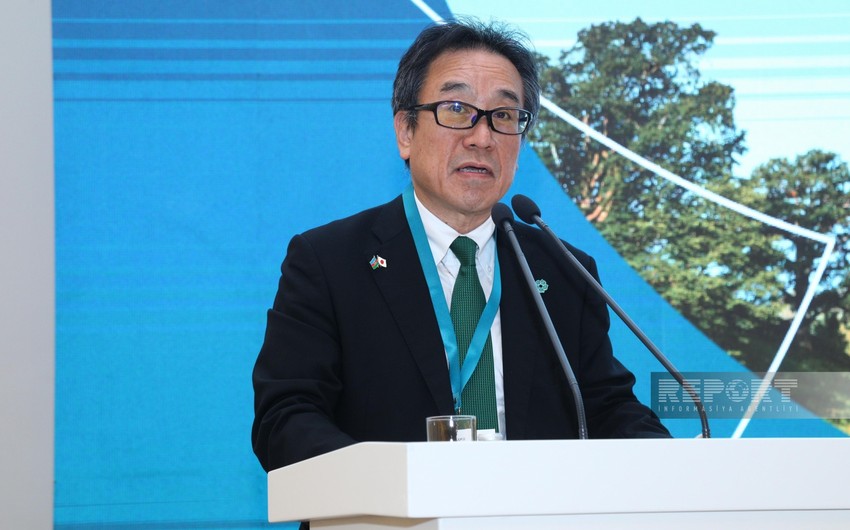 Deputy minister: Japan supports Azerbaijan's Baku Global Climate Transparency Platform