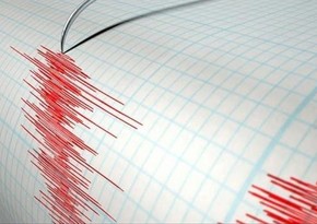 В Мексике произошло землетрясение магнитудой 5,5