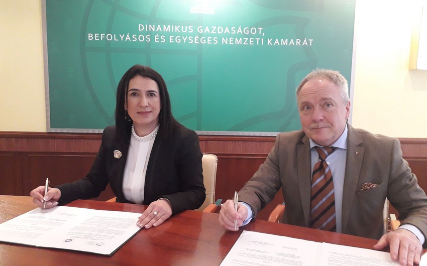 Azerbaijan, Hungary create Joint Business Council