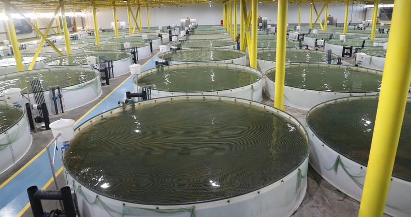 Azerbaijan establishes new Fisheries and Aquaculture Center