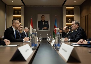 Cийарто: Наша цель - обеспечить поставки азербайджанского газа на венгерский рынок
