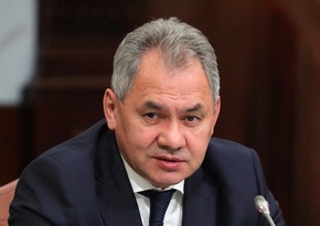 Shoigu: Russia's nuclear forces put on alert