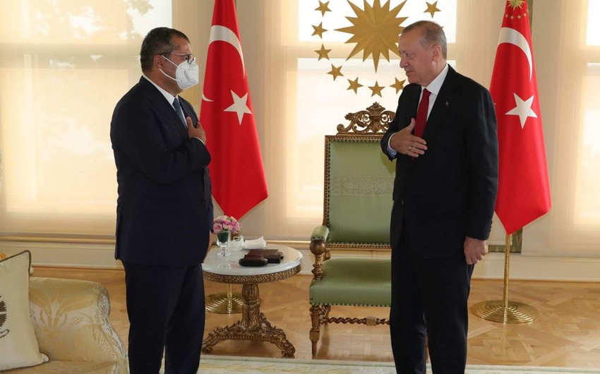 Erdogan receives outgoing Azerbaijani ambassador 