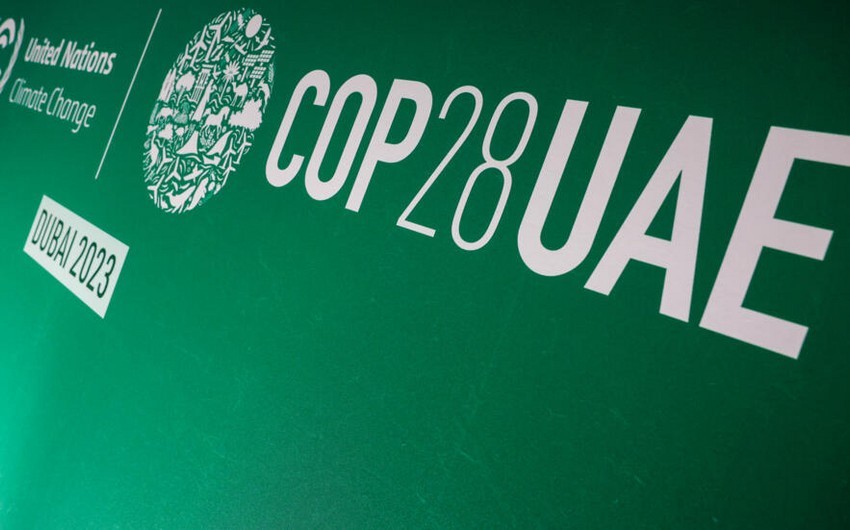 COP28 participants approve final document